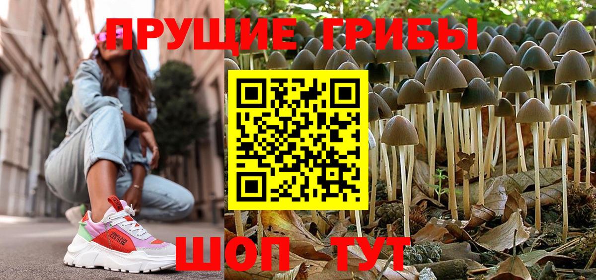 Псилоцибиновые грибы MAGIC MUSHROOMS  Вход с VPN  Октябрьский  Галлюциногенные грибы Cubensis 