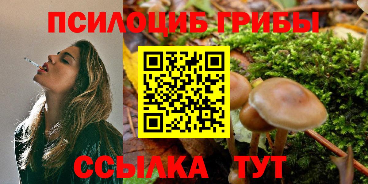 Галлюциногенные грибы Magic Shrooms Октябрьский